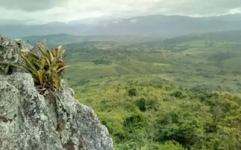 Pesquisador indígena cataloga 150 plantas medicinais de seu território