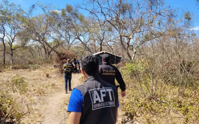 MTE resgatou 18 trabalhadores em condições degradantes em carvoarias no Norte de Minas