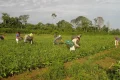 Lei que institui a Política Nacional de Juventude e Sucessão Rural foi sancionada