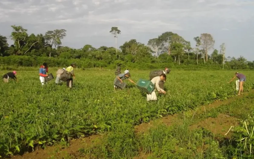 Lei que institui a Política Nacional de Juventude e Sucessão Rural foi sancionada