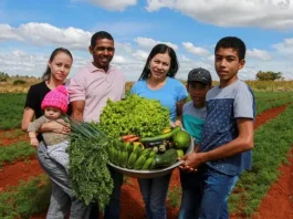 Plano Safra da Agricultura Familiar tem juros de 2% ao ano