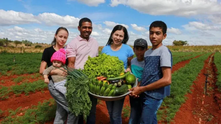 Plano Safra da Agricultura Familiar tem juros de 2% ao ano