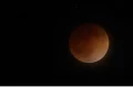 Observatório Nacional transmitirá eclipse total da Lua neste domingo
