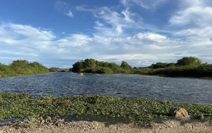 Velho Chico chega ao Rio Grande do Norte após percurso de 412 km