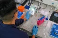 IEL abre 1,7 mil vagas de estágio em todo o país; bolsas chegam a R$ 2,5 mil