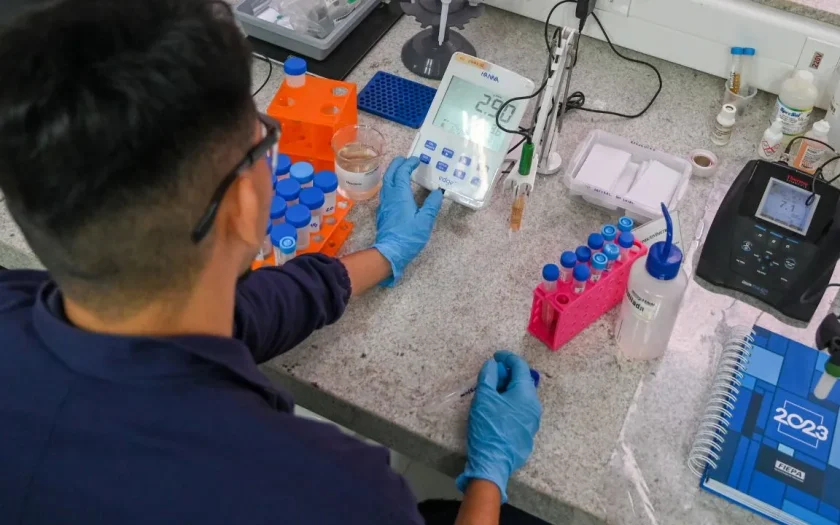 IEL abre 1,7 mil vagas de estágio em todo o país; bolsas chegam a R$ 2,5 mil