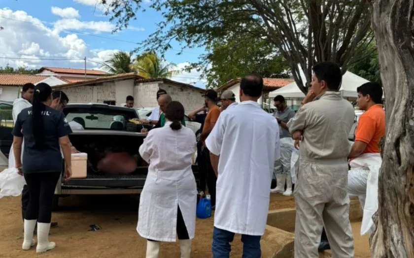 Adab realiza treinamento para identificação de doenças neurológicas em animais