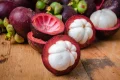 Pesquisa da Uesb transforma casca de mangostão em corante natural