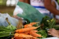Garantia-Safra 2025-2026 abriu inscrições para agricultores do seminário