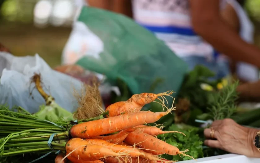 Garantia-Safra 2025-2026 abriu inscrições para agricultores do seminário