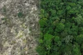 Brasil perdeu 111,7 milhões de hectares de áreas naturais em 40 anos