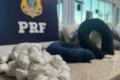 PRF encontrou 4,5 quilos de cocaína em travesseiros e almofadas de ônibus em Vitória da Conquista
