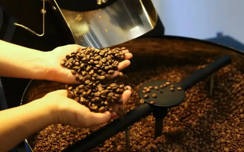 16ª edição do Encontro Nacional do Café e 2º Agrotech Baiano ocorrem em setembro