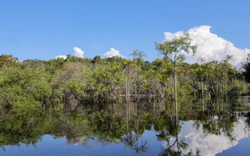 Brasil anuncia US$ 1 bilhão para fundo de florestas tropicais