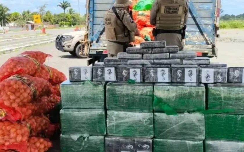 Apreensão de drogas Bahia