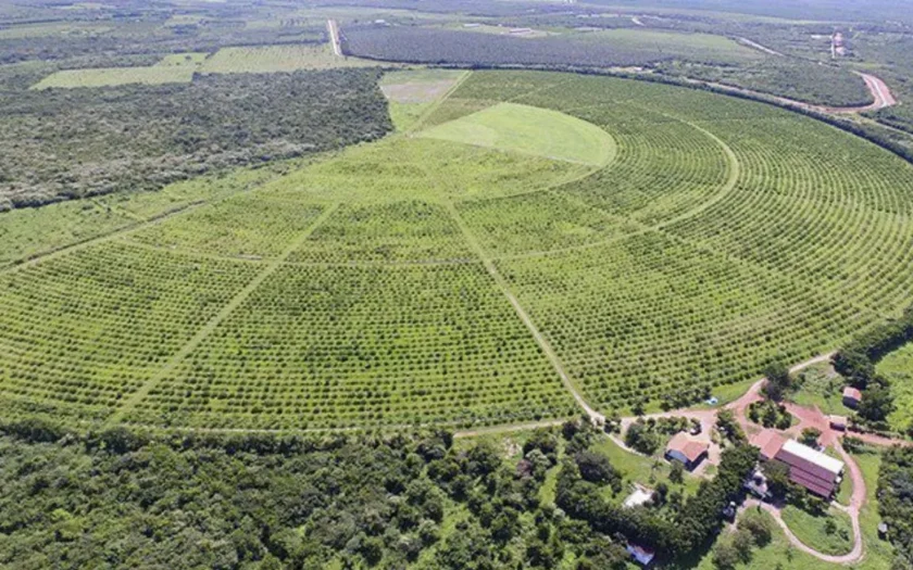 Vilas rurais do Rio São Francisco são beneficiadas com sistemas de irrigação