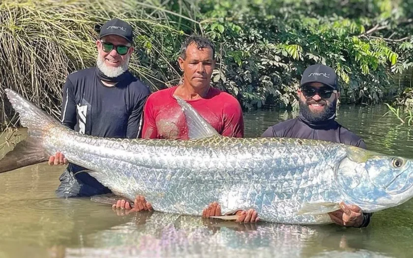 Peixe 1,79 metros Rio São Francisco