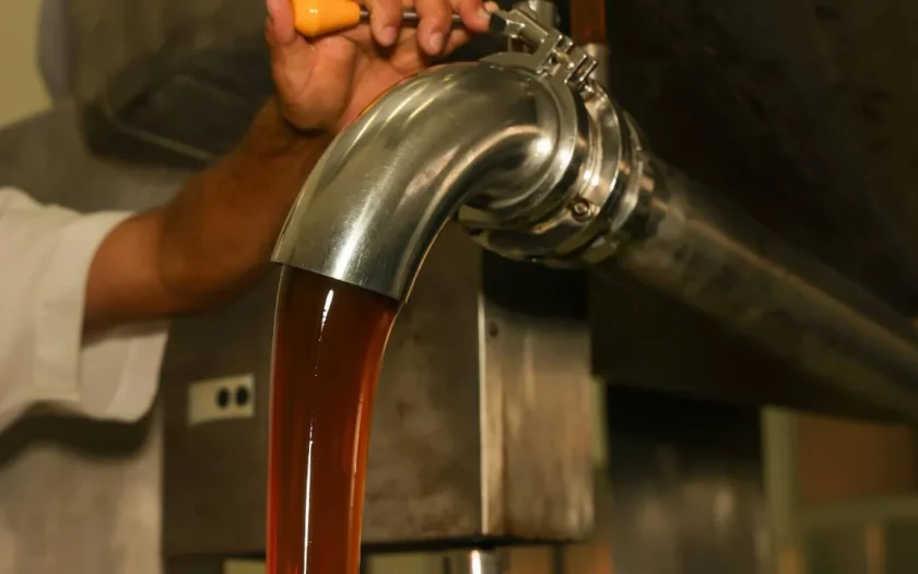 Unidade de beneficiamento aumenta produção de mel no Semiárido Baiano