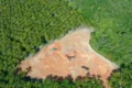 Caminho Verde Brasil restaurará 3 milhões de hectares de terras degradadas