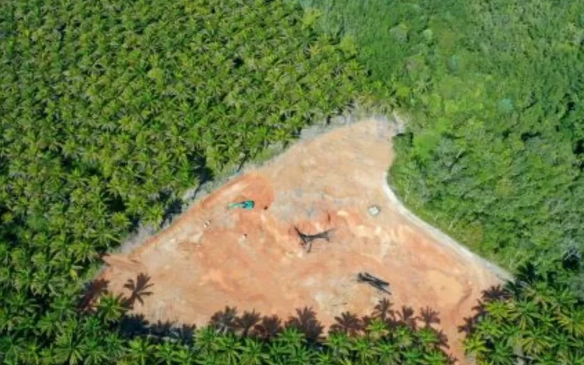Caminho Verde Brasil restaurará 3 milhões de hectares de terras degradadas