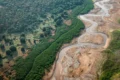 Brasil lança monitoramento diário de cobertura de terra para a Amazônia