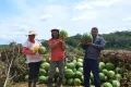 Governo liberou R$ 4,6 milhões para atividades produtivas e habitação de beneficiários da Reforma Agrária na Bahia