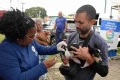 Salvador inicia campanha de vacinação antirrábica para cães e gatos