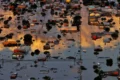 Metade das cidades brasileiras está em alta vulnerabilidade climática, aponta relatório