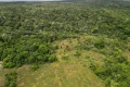 ICMBio inicia projeto para transformar pasto em Mata Atlântica na Bahia