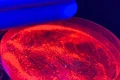 UFRB desenvolve pesquisas em terras raras focadas em sustentabilidade e tecnologia