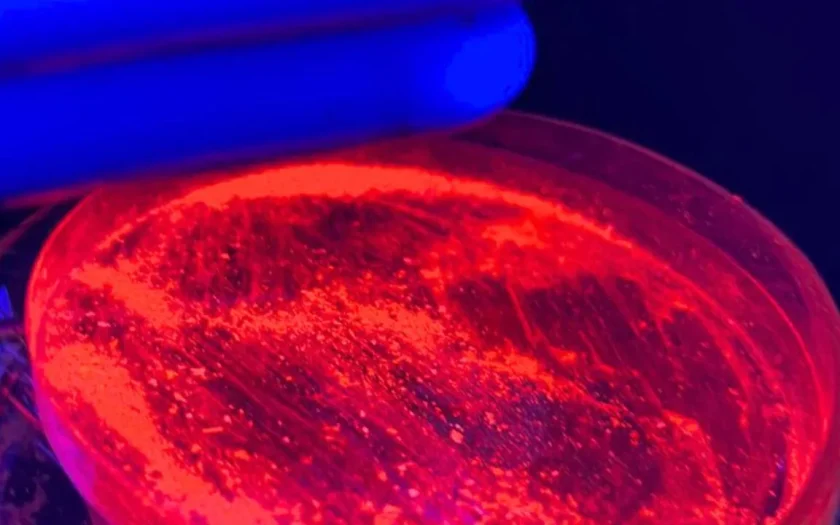 UFRB desenvolve pesquisas em terras raras focadas em sustentabilidade e tecnologia