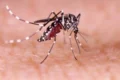 Vítimas do Zika podem ser indenizadas ainda em setembro, diz ministro