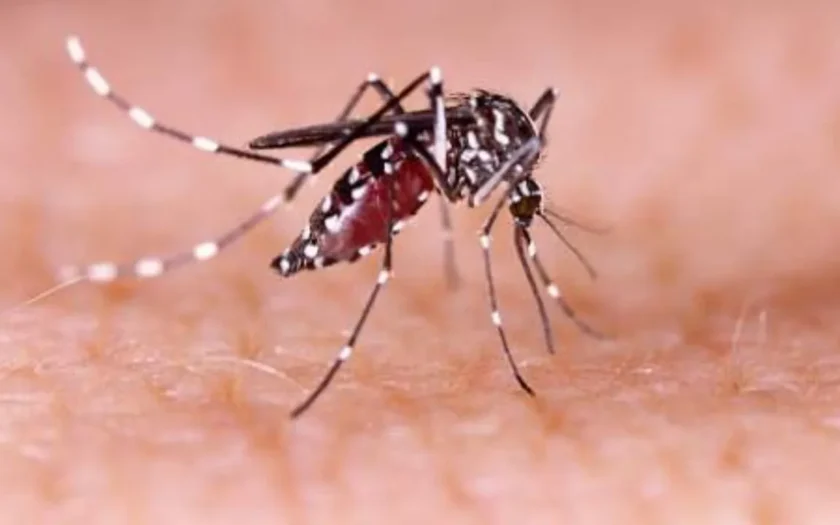 Vítimas do Zika podem ser indenizadas ainda em setembro, diz ministro