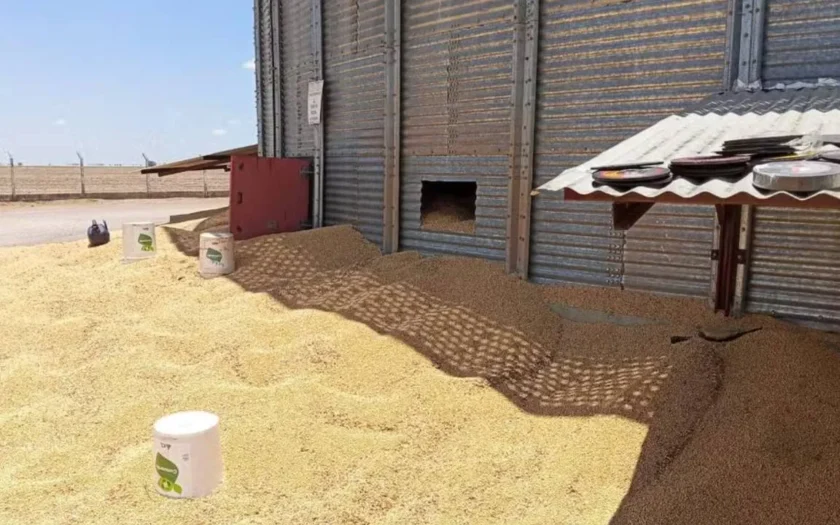 MPT abriu inquérito para apurar morte de trabalhador em silo no município de Barreiras