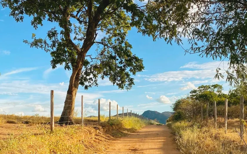 Tempo seco zona rural de Guanambi