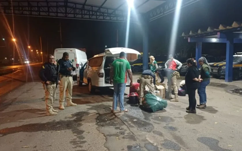 Operação da PRF resgatou 67 aves silvestres e apreendeu produtos ilegais na BR-116, na Bahia