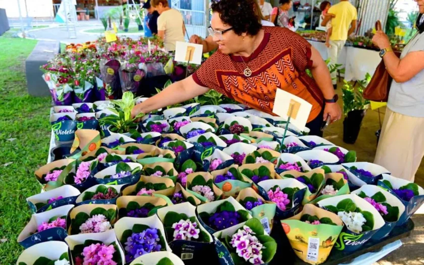 Feira de Flores de Holambra