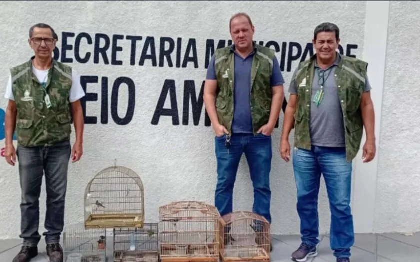 Aves silvestres foram entregues voluntariamente após denúncia em Guanambi