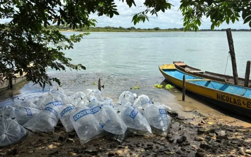 Peixamentos no Rio São Francisco
