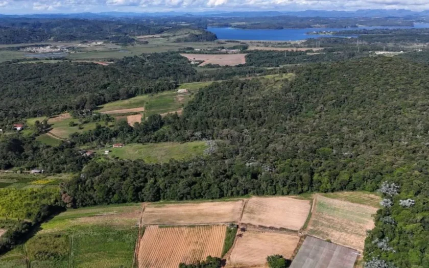 Estudo da Embrapa revela que fazendas privadas abrigam 29% da vegetação nativa do Brasil