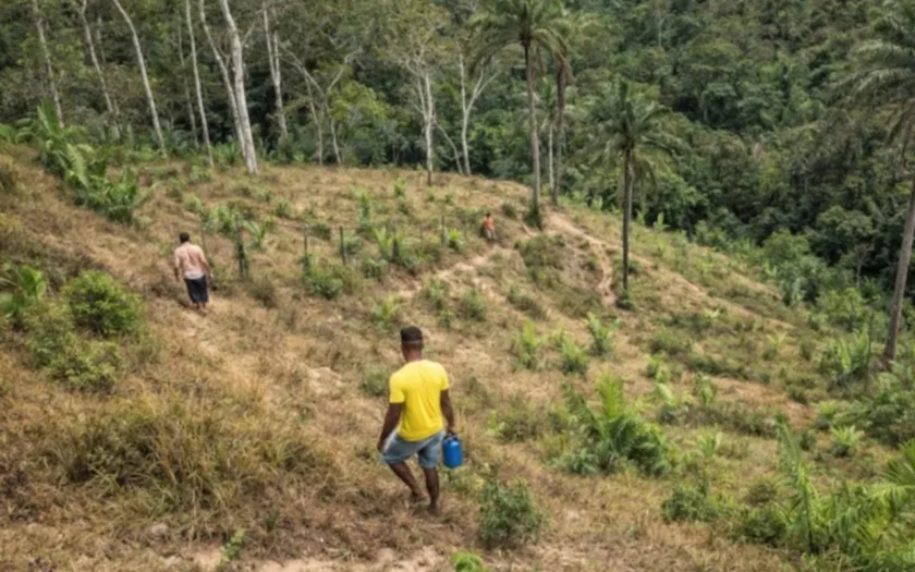 Reconhecimento famílias quilombolas Bahia
