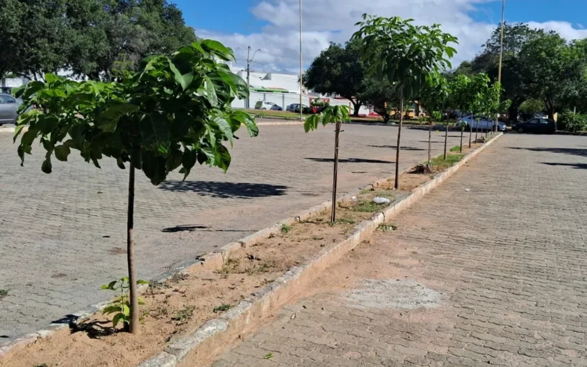 Projeto Guanambi +Verde