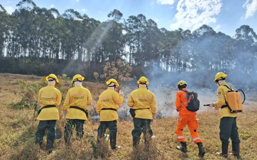 Brigada de Incendio