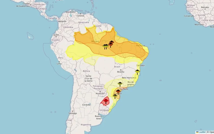 previsão