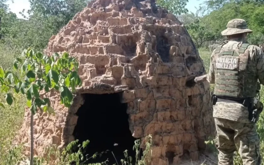 destruição de carvoaria Palmas de Monte Alto