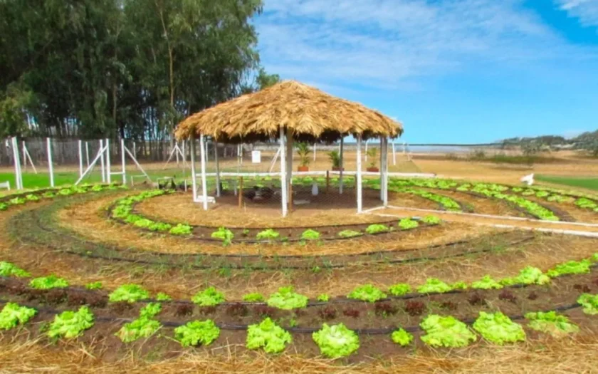 Inova Agro