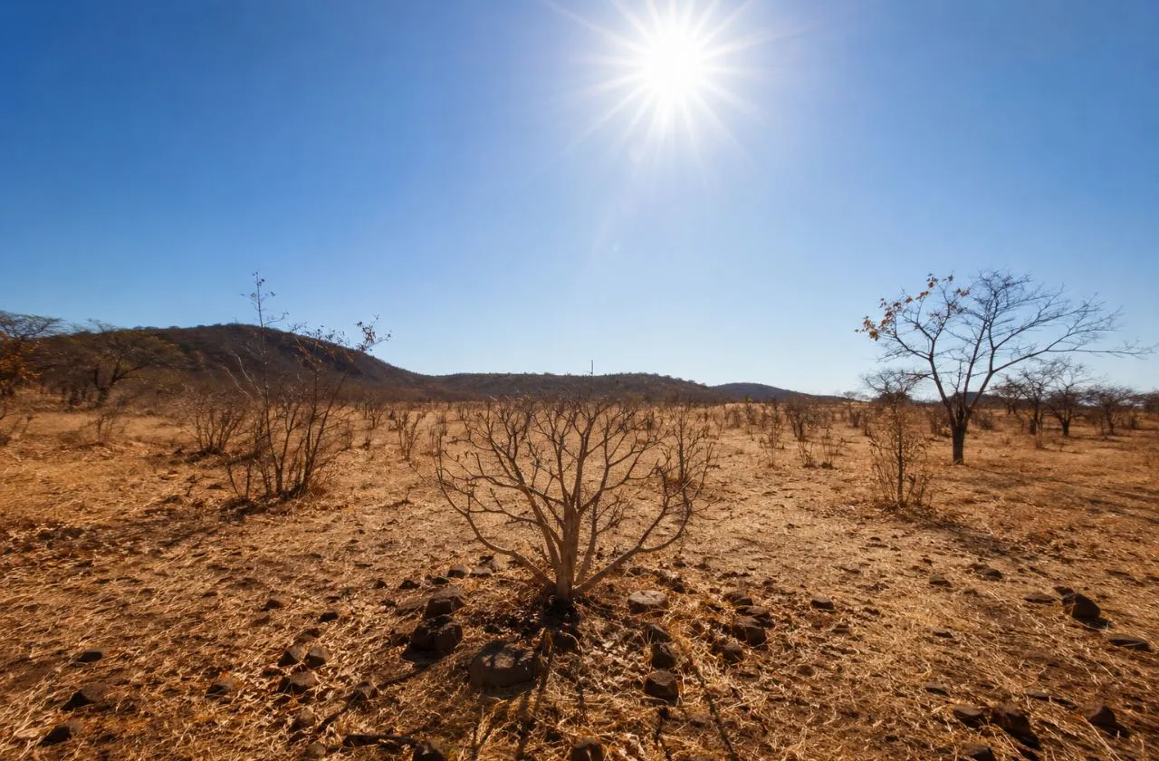 Cemaden alerta para aumento das ondas de calor no Brasil e impactos do El Niño