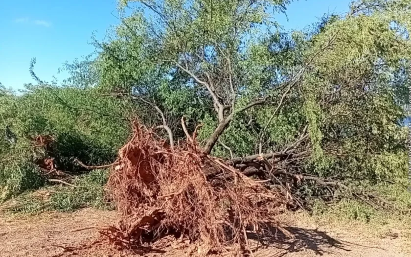 desmatamento poço do magro