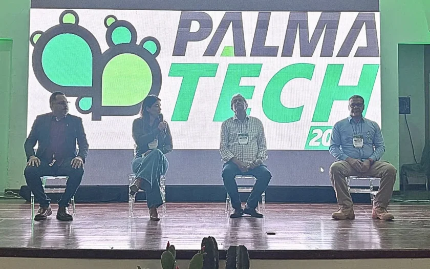 ifbaiano no palmatech