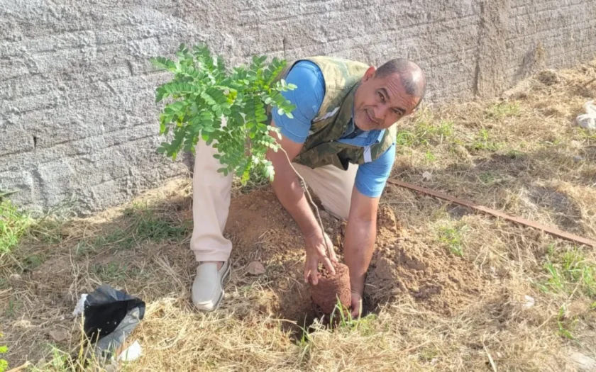 projeto adote uma arvore Guanambi